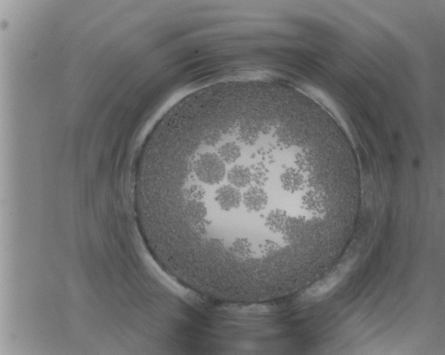 X0000063520851200601271834