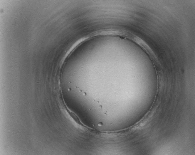 X0000063520852200601271834