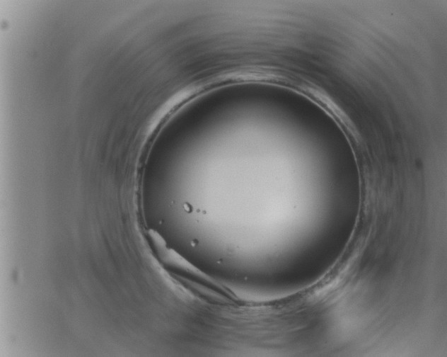 X0000063520853200601271834