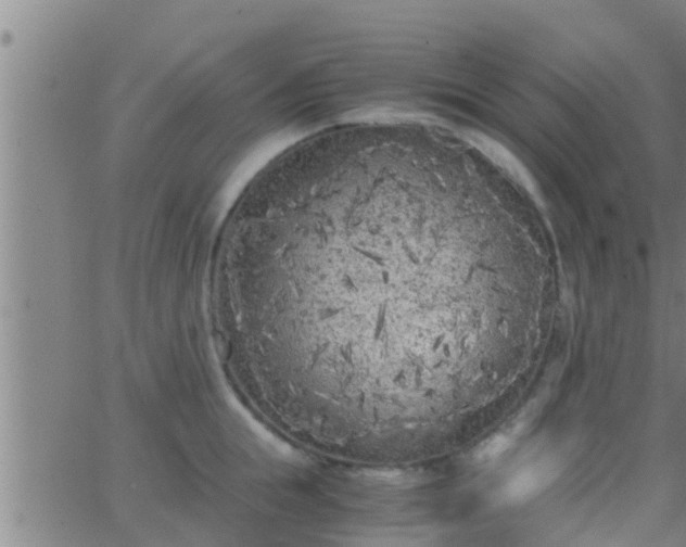 X0000063520855200601271834