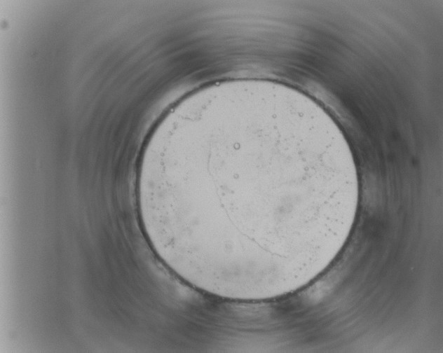 X0000063520856200601271834