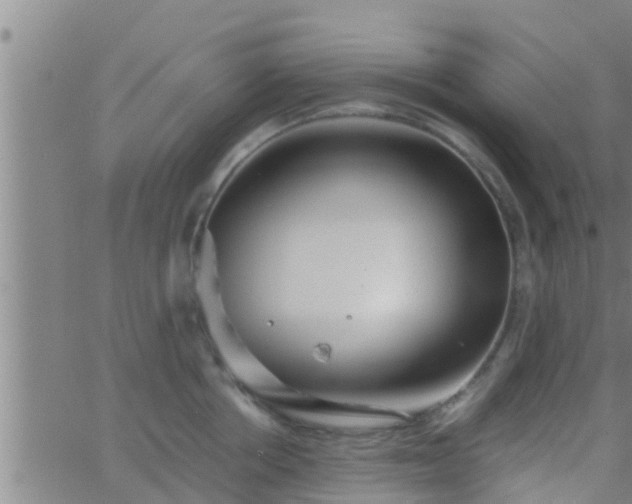 X0000063520858200601271834