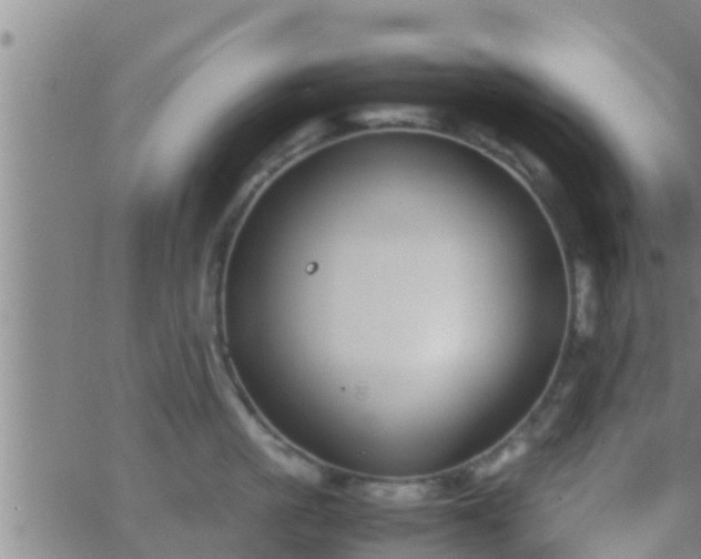 X0000063520861200601271834