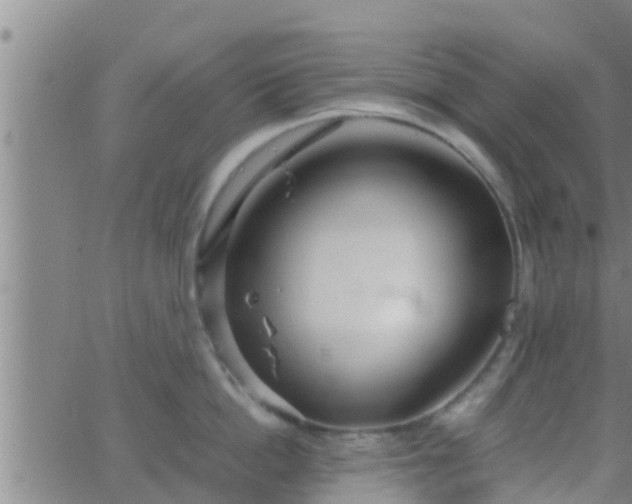 X0000063520862200601271834