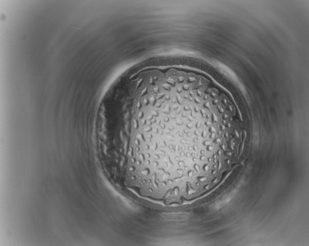 X0000063520863200601271834