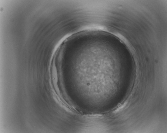 X0000063520864200601271834