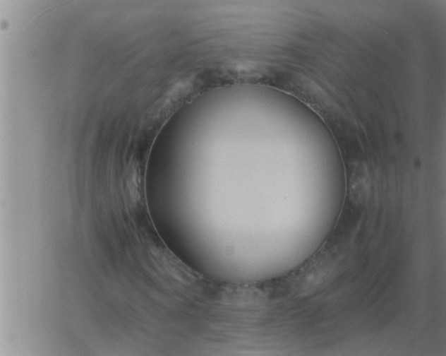 X0000063520866200601271833