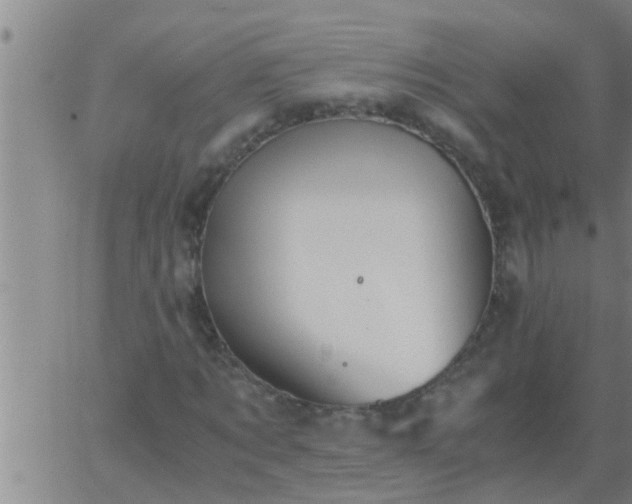 X0000063520869200601271833