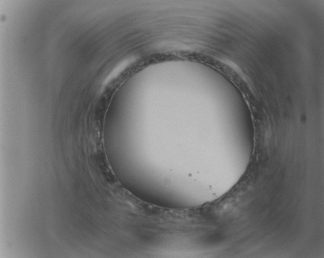 X0000063520871200601271833