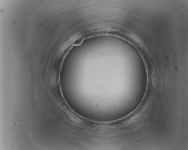 X0000063520873200601271833