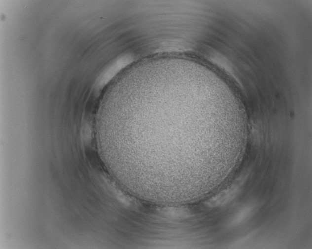 X0000063520874200601271833