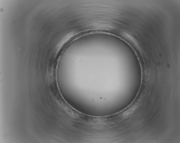 X0000063520875200601271833