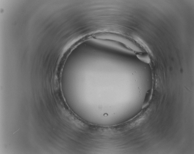 X0000063520876200601271833