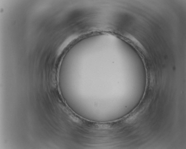 X0000063520878200601271833