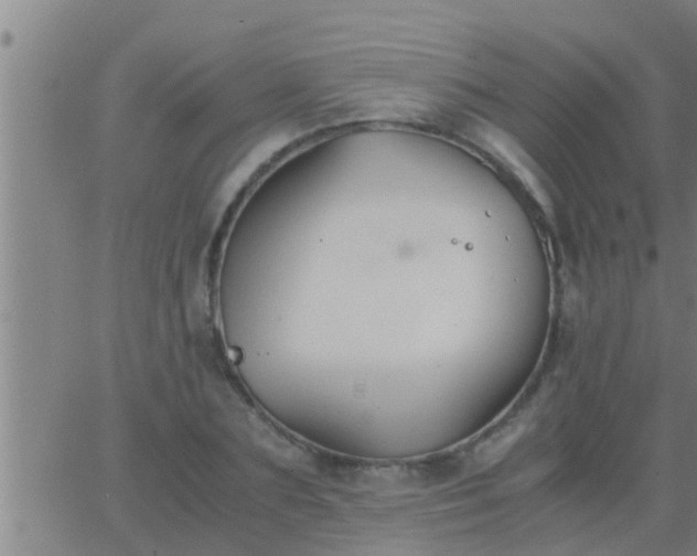 X0000063520883200601271833