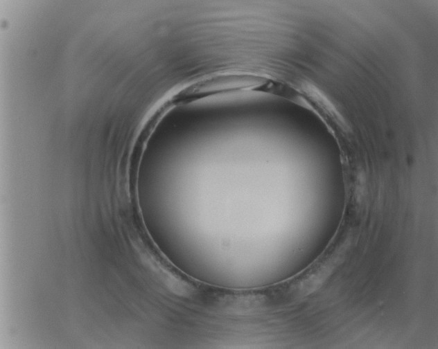 X0000063520884200601271833