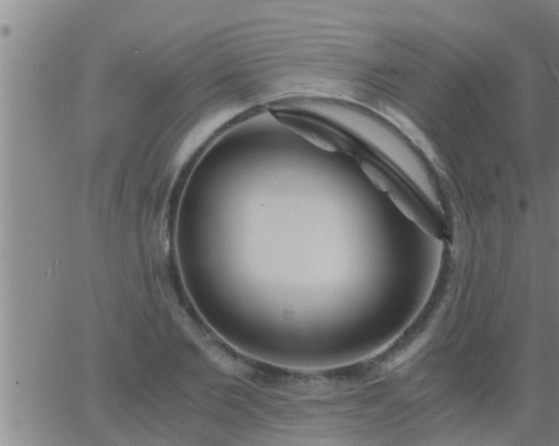 X0000063520885200601271833