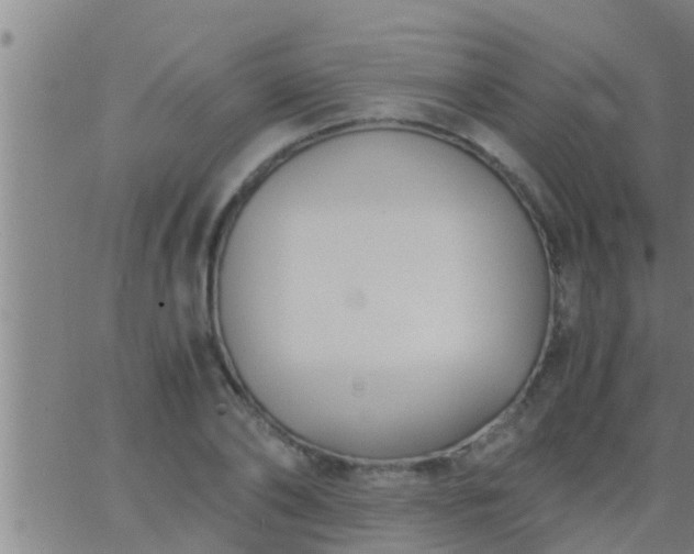 X0000063520886200601271833