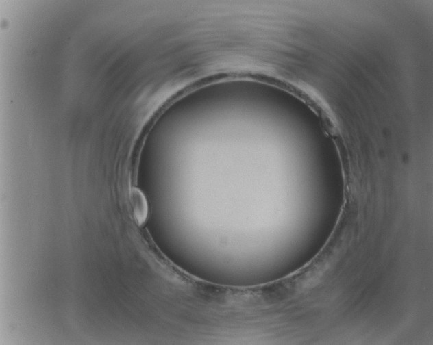 X0000063520887200601271833