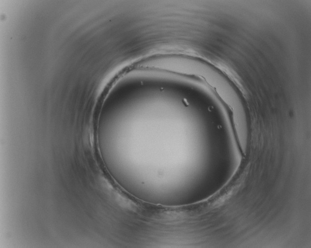 X0000063520888200601271833