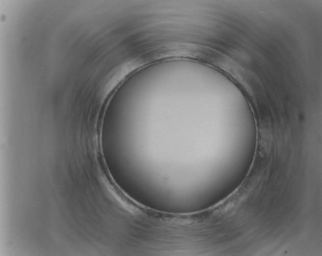 X0000063520890200601271833