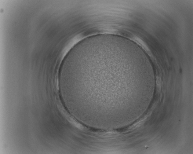 X0000063520891200601271833