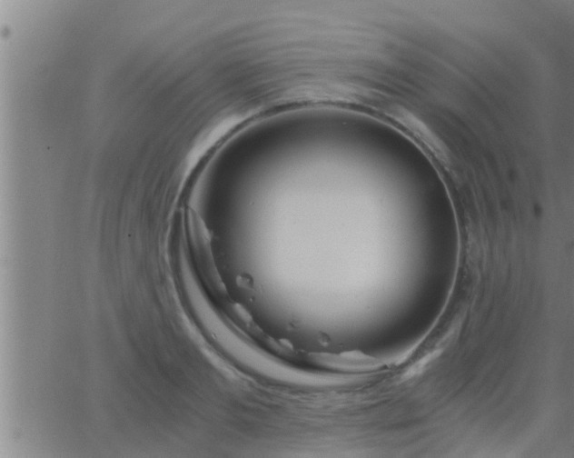 X0000063520893200601271833