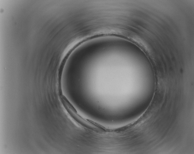 X0000063520894200601271833