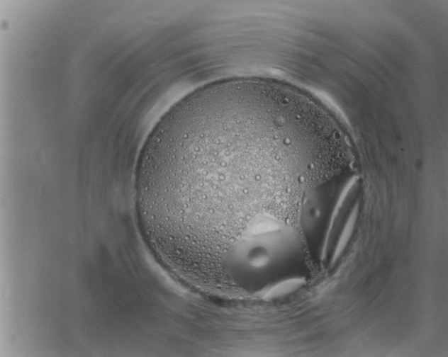 X0000063520895200601271833