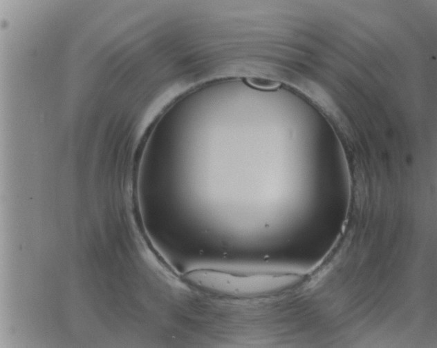 X0000063520896200601271833