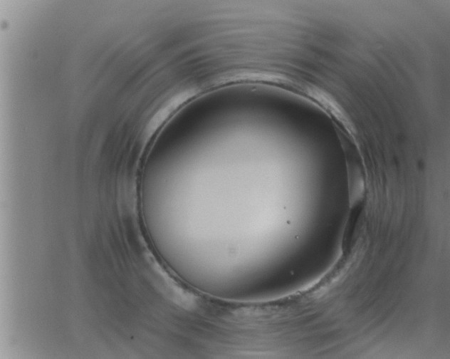 X0000063520898200601271833