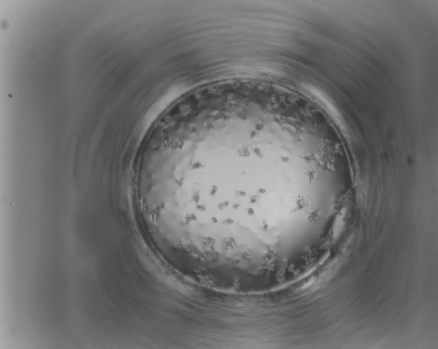 X0000063520899200601271833