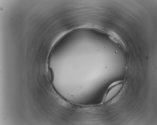 X0000063520900200601271833