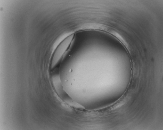 X0000063520901200601271833