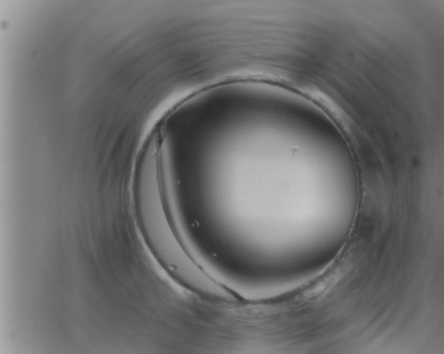 X0000063520902200601271833