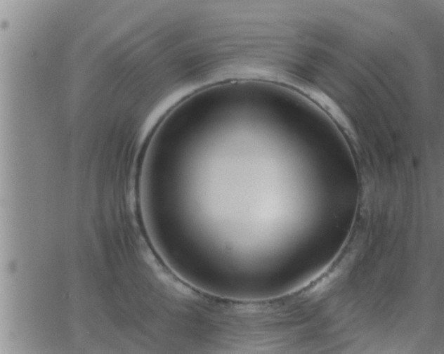 X0000063520904200601271833