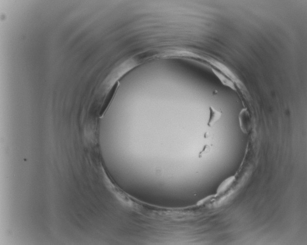 X0000063520905200601271833