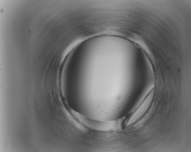 X0000063520910200601271833