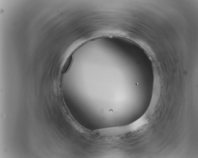 X0000063520912200601271832