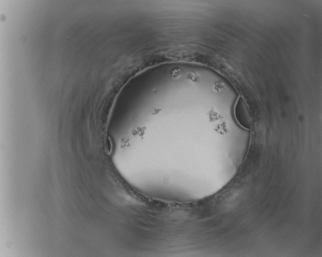 X0000063520913200601271832