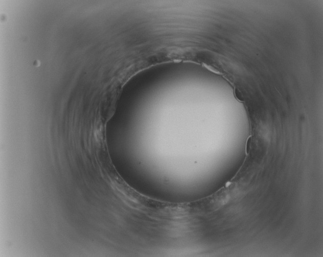 X0000063520914200601271832