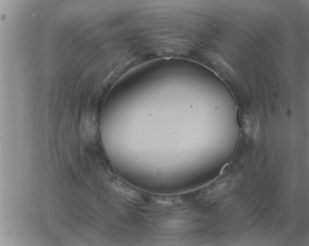 X0000063520915200601271832