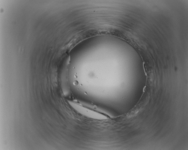 X0000063520916200601271832