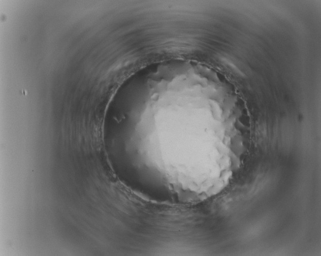 X0000063520917200601271832