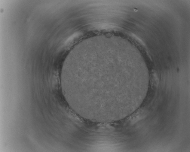 X0000063520918200601271832