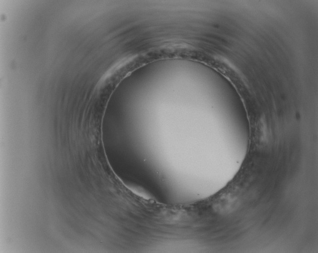 X0000063520919200601271832