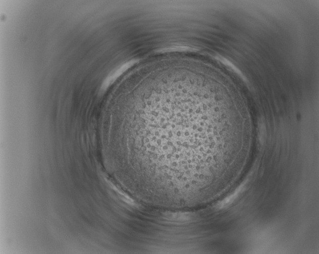 X0000063520921200601271832