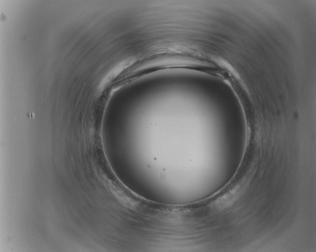 X0000063520922200601271832