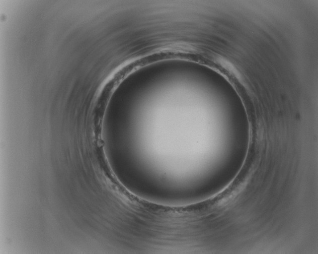 X0000063520923200601271832