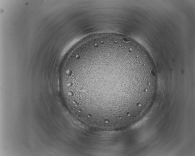 X0000063520925200601271832